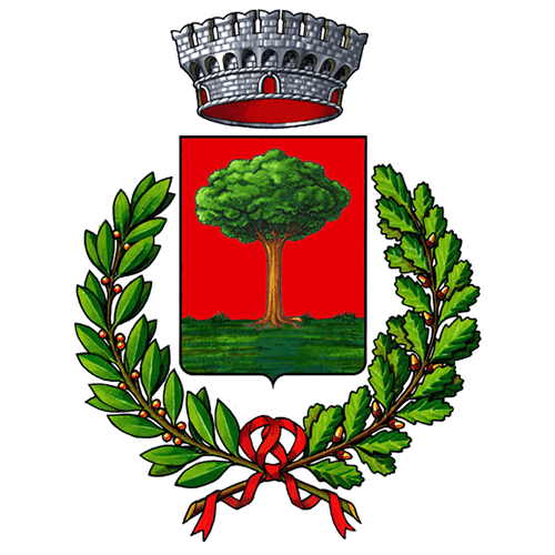 Logo del comune di Pagani